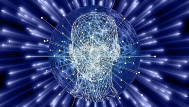 Künstliche Intelligenz im Alltag 2025